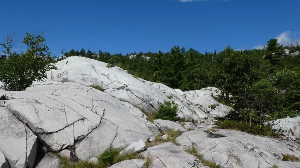picture of white rock cliffs at killarney provincial park