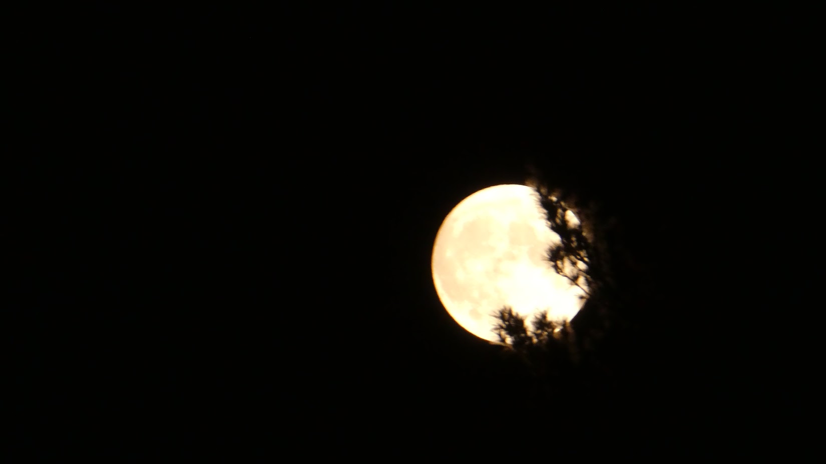 picture of the night sky showing a full moon taken while camping in the backcountry
