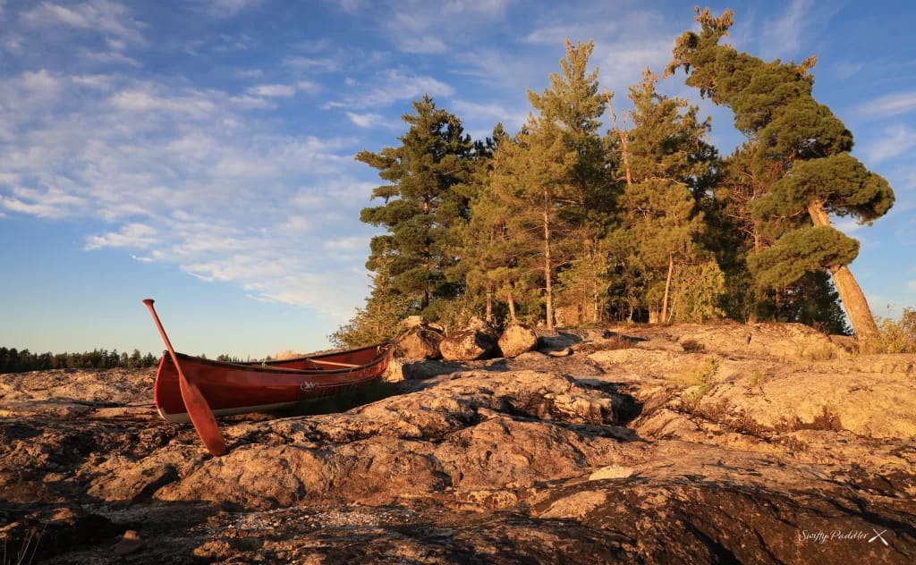 picture of a canoe, a paddle and pine trees on the shore of a lake while backcountry camping