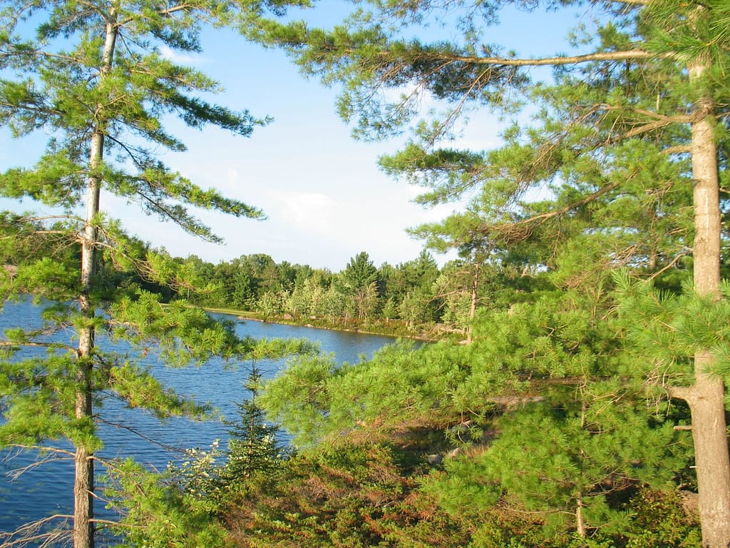 picture of trees and a lake taken at Kawartha Highlands Provincial Park while backcountry or canoe camping