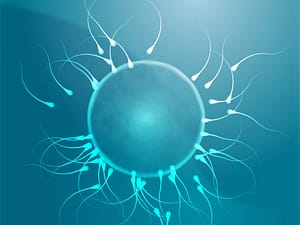 male infertility fertility improve sperm