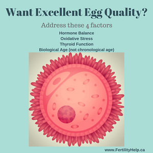 graphic showing that egg quality is affected by age, thyroid, oxidation and hormones