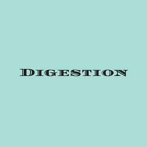 picture of the word digestion