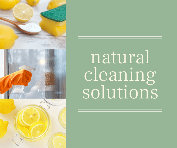 pic showing natural cleaning products