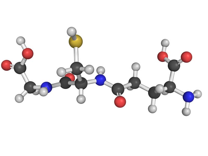 glutathione molecule